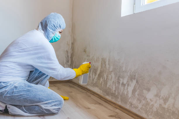 Bathroom Mold Removal assessment in McLean bathroom