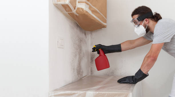 Attic Mold Remediation treatment on roof deck in McLean