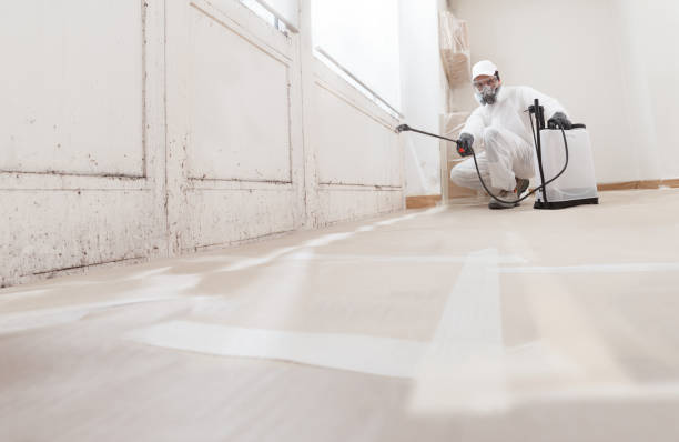 Black mold remediation team in McLean