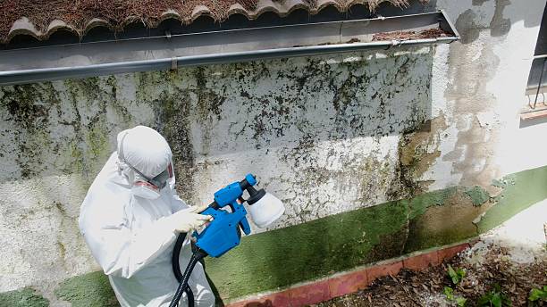 Mold Remediation service in McLean, McLean, VA